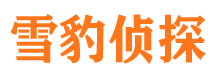 龙井侦探